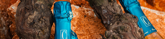 La nuova etichetta: Il Cuvèe 36 Mesi, freschezza e eleganza.